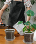 Woman filling clear 4 inch nursery pots with drainage and saucers, 20 pack transparent plant pots for seedlings and starters.