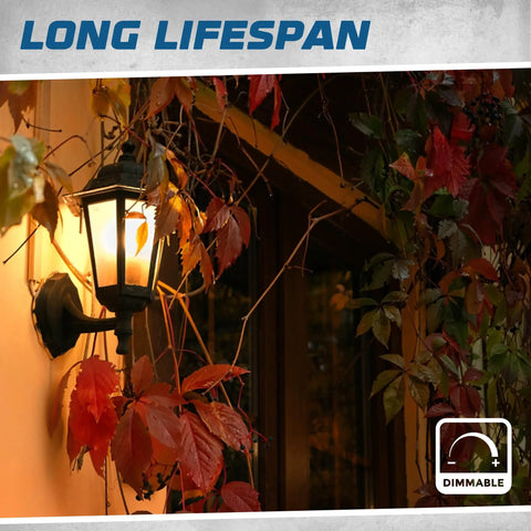Garden lantern surrounded by red leaves using Dope 12 Pack T6 Tubular Incandescent Bulbs 25W Dimmable Warm White 2700K.