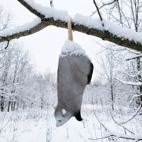 Real Wild Hanging Opossum 3D Archery Target With Premium Foam Construction hanging on snowy tree branch for practice