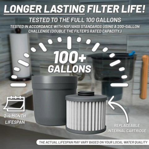 Replacement Nano Filter For XP Water Pitcher Or Dispenser With Nanofiltration 100 gal lifespan infographic