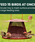 Durable Wild Bird Feeder With Diamond Mesh And 360 Degree Seed Tray For Clinging And Perching Birds, 2.5 Lb Seed Capacity