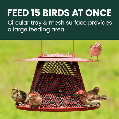Durable Wild Bird Feeder With Diamond Mesh And 360 Degree Seed Tray For Clinging And Perching Birds, 2.5 Lb Seed Capacity