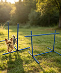 Dog jumping over hurdle in Versatile Adjustable Dog Agility Jump Set With Hurdles And Weave Poles 0 To 31 Inch Height 2.6 Foot Training