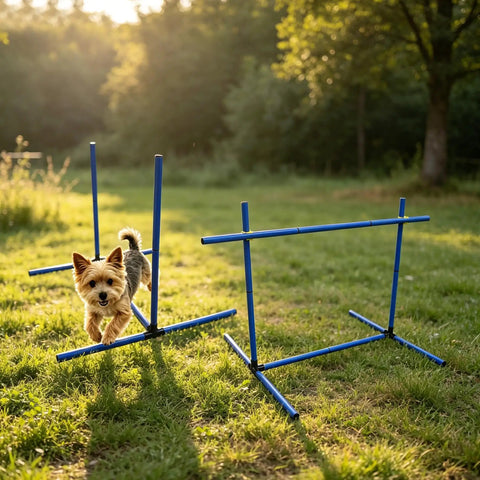 Dog jumping over hurdle in Versatile Adjustable Dog Agility Jump Set With Hurdles And Weave Poles 0 To 31 Inch Height 2.6 Foot Training