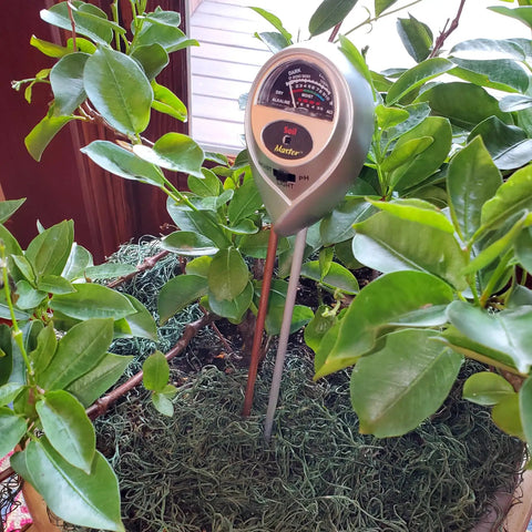 Moisture, Light And pH Soil Test Meter For Garden, Lawn And Indoor Pots, Measures Soil Moisture Level, Light Intensity And pH