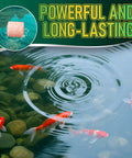 Pro Pond Muck Reducer For Fish Ponds Baths And Fountains No Fuss Easy And Efficient Deep Clean with koi fish and water
