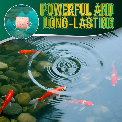 Pro Pond Muck Reducer For Fish Ponds Baths And Fountains No Fuss Easy And Efficient Deep Clean with koi fish and water