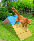Dog jumping on A Frame Dog Agility Ramp For Backyard Training Dope Outdoor Jumping Gear 83.5 By 23.6 Inches Perfect Agility Course Toy