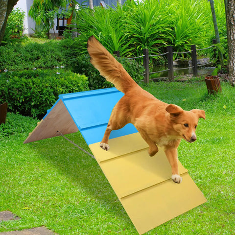 Dog jumping on A Frame Dog Agility Ramp For Backyard Training Dope Outdoor Jumping Gear 83.5 By 23.6 Inches Perfect Agility Course Toy
