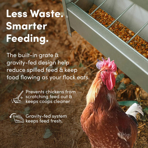 Heavy Duty Galvanized Trough Chicken Feeder Gravity Fed 10 Lbs Capacity With Removable Rain Hood For Weather Resistant Outdoor Coop And Farm Poultry Setup Built Tough To Go The Distance with gravity-fed design and chicken.