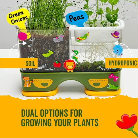 Hands On Kid Friendly Root Viewer Planting Kit With Seeds And Garden Supplies For Home And Classroom STEM Learning Dual Growth Options Soil Or Hydroponic Fun Gifts For Ages 6 And Up showing soil and hydroponic growth of onions and peas.