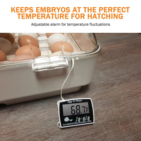 Egg Temperature Monitor With Large Digital Display For Inside Egg Readout Min Max Memory Celsius And Fahrenheit Precise Hatching Thermometer For Incubators Easy To Read Egg Gauge For DIY Hatchers next to incubator showing 68.7°F