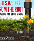 Stand Up Weed Puller Tool With Heavy Duty 4-Claw Steel Head And Solid Bamboo Handle, showing weed extraction in garden soil.