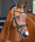 Top Notch Italian Leather Dressage Bridle With Padded Noseband Anti Shock Padding Crank Strap And Flash Black Full Size