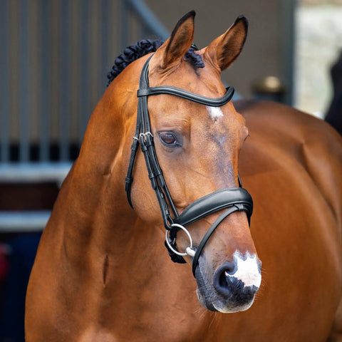 Top Notch Italian Leather Dressage Bridle With Padded Noseband Anti Shock Padding Crank Strap And Flash Black Full Size