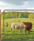J Bolt Gate Hinge 304 Stainless Steel Farm Gate Hinges With M12 6 Inch Bolt And 5/8 Inch Pin on chain link fence with cows