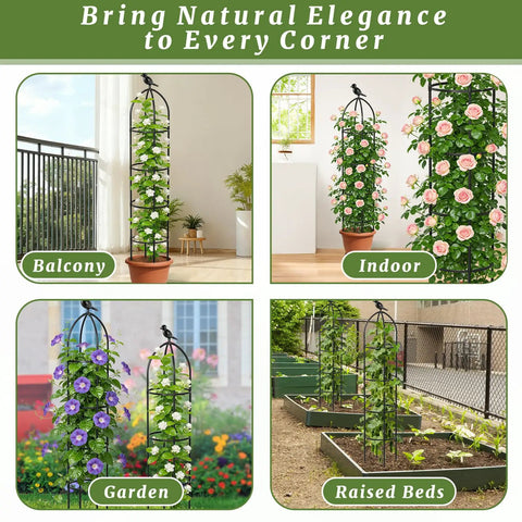 Obelisk Garden Trellis For Climbing Plants 6 Ft Rustproof Plastic Coated Metal Vine Support Cage For Pots No Fuss Ideal For Morning Glory Clematis Rose Indoors Or Outdoors Weatherproof UV Resistant Plant Support in various settings: balcony, indoor, garden, raised beds.