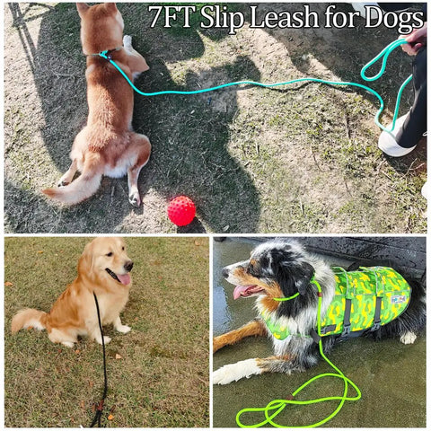 Dogs using No Pull Slip Lead For Dogs 7 Ft Rope Leash 1/4 Inch Width 13 Plus Colors 2 In 1 Leash And Collar For Small To Medium Dogs