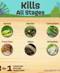 Chart of insects affected by Ready To Use Neem Oil For Plants, 128 Oz, Multi Purpose Fungicide Insecticide And Miticide.