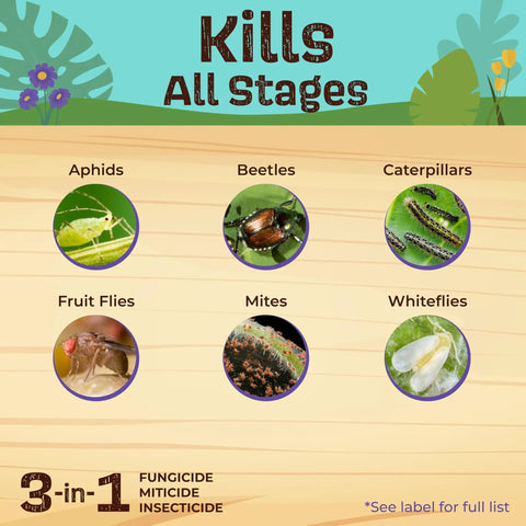 Chart of insects affected by Ready To Use Neem Oil For Plants, 128 Oz, Multi Purpose Fungicide Insecticide And Miticide.