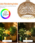 Go-To Rattan Hanging Grow Light For Indoor Plant Parents, 3800K Warm White showing CRI 98+ with lush potted plants and woven shade.