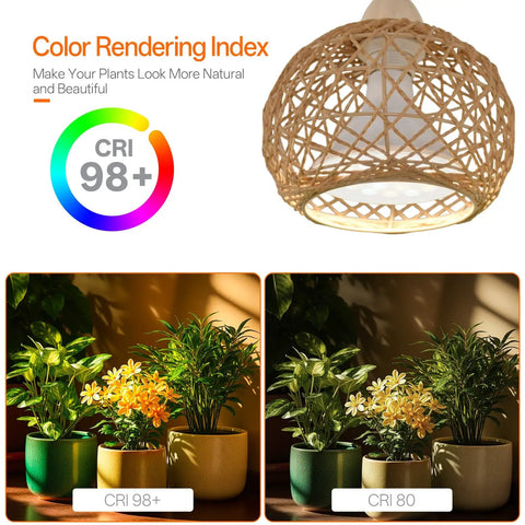 Go-To Rattan Hanging Grow Light For Indoor Plant Parents, 3800K Warm White showing CRI 98+ with lush potted plants and woven shade.