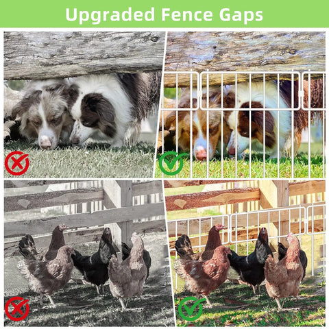 Comparison of fence gaps with and without the 10 Pack Animal Barrier Fence No Dig Fence Decorative Fences 17 Inch High By 10 Foot Long Rustproof Metal Garden Border For Dogs And Rabbits Bottom Blocker For Outdoor Yard Patio White, showing dogs and chickens.