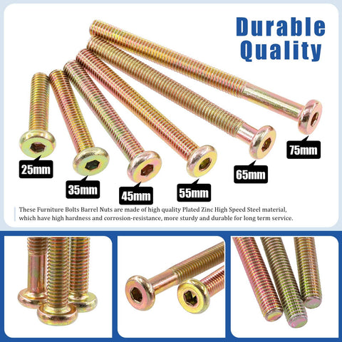 Assorted bolts from 253 Piece M6 Hex Socket Cap Screws Hardware Kit For Baby Cribs And Furniture showing various lengths from 25mm to 75mm.