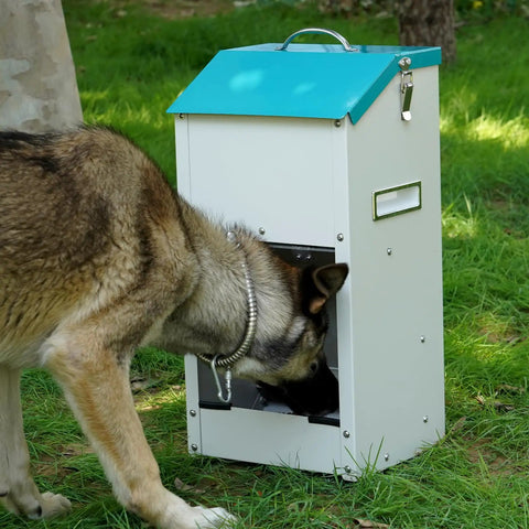 Top Notch Galvanized Gravity Auto Dog Feeder With 15 Lb Size and Rust Resistant Stainless Steel Shovel being used by a dog outdoors.
