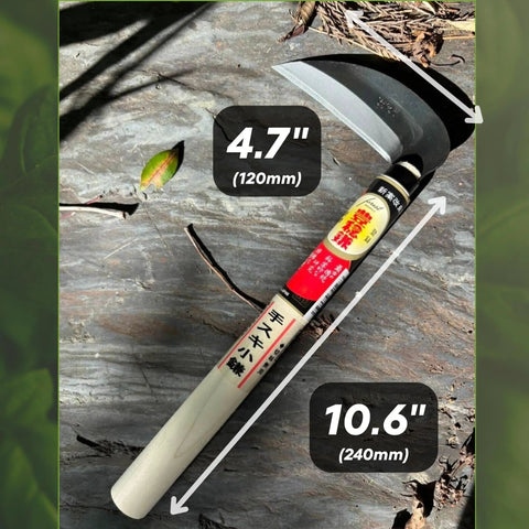 Japanese Weeding Sickle Kama For Fast Garden Cleanup, 4.7 Inch Serrated Blade, Curved Pull Cut, 11 Inch Wood Handle, Japan