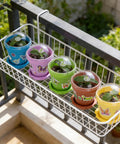 Dope Color Mix Nursery Pots With Humidity Domes And Trays, 25 Pack Seed Starter Pots For Seedlings And Small Plants