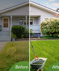 15 Inch Thatch Rake For Lawns Heavy Duty Dethatching Rake With Steel Handle Easy To Use Tool Removing Grass Debris Before After