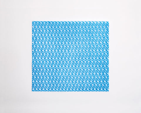 Reusable Kitchen Wipes, 60 Count, Rinse and Reuse Up to 10 Times, Machine Washable, blue wipe with textured surface
