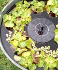 Solar Powered Bird Bath Fountain Pump Kit With 1.3W Panel Outdoor Submersible Water Pump surrounded by floating plants