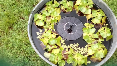 Solar Powered Bird Bath Fountain Pump Kit With 1.3W Panel Outdoor Submersible Water Pump surrounded by floating plants
