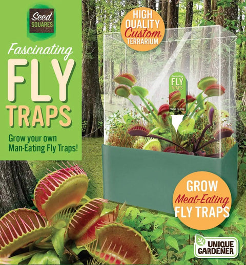 Grow Your Own Venus Fly Trap Indoor Terrarium Kit Mean Eating Carnivorous Plant Starter Set With Seeds Compressed Germination Disk