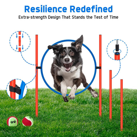 All In One Backyard Dog Agility Course For Active Pups With Adjustable High Jump showing a dog leaping through a ring