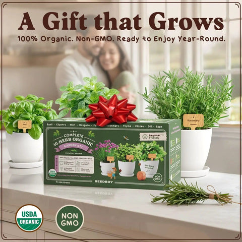 Indoor Outdoor Herb Garden Starter Kit With 10 Planter Pots Trays Coco Coir Discs 10 Plant Markers And 10 Premium Herb Seeds Non GMO USDA Certified Easy Grow Kit For Beginners A Cool Gift For Gardeners And Plant Lovers in packaging with herbs on table