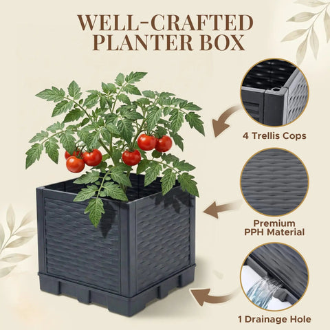 Two Pack 43 Inch Vertical Tomato Planter With Trellis Self Watering Garden Box featuring tomatoes and premium PPH material.