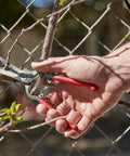 Close-up of hand using Thinning Shears With Cushioned Non Slip Grip For Plants, Pro Grade Durable Steel Blades For Precise Pruning on branch