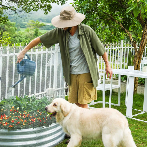 19 Gauge Hardware Cloth One Half Inch Mesh Welded Galvanized Cage Wire Roll Forty Eight Inch By One Hundred Feet Poultry Netting Fence used in garden