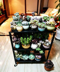 Heavy Duty Four Tier White Collapsible Metal Wire Shelving Rack That Folds Flat And Serves As A Total Game Changer For Organizing Kitchen Pantry Garage Or Living Room Spaces with succulent plants.