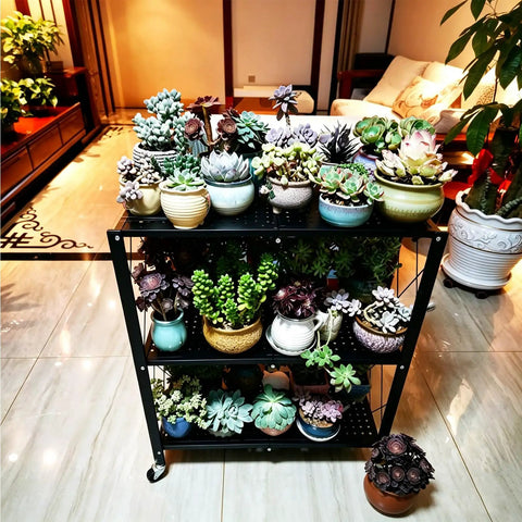 Heavy Duty Four Tier White Collapsible Metal Wire Shelving Rack That Folds Flat And Serves As A Total Game Changer For Organizing Kitchen Pantry Garage Or Living Room Spaces with succulent plants.