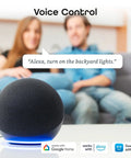 Smart speaker interacting with users, highlighting voice control capabilities with Google Assistant and Alexa compatibility.