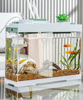 Large Fish Tank Divider Set With Adhesive Mounts And Tie Wraps, Cuttable Adjustable Aquarium Separator Panel For Isolating Bettas in a clear fish tank.