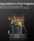 4-Pack FlexFeed Self-Watering Pots With Auto Irrigation Base holding plant and drip irrigation system, indoor grow setup