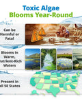 Toxic Algae Blooms Year-Round image with warnings and scenic views of affected waters and a US map showing presence, Blue Green Algae And Cyanobacteria Test Kit For Backyard Ponds Delivers No Sweat Application Plus Straight Shooter Accuracy To Keep Your Family Secure On Their Private Waterfront Retreat Year Round.