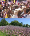 Crowd with flags and field of 12 Pack 12x18 Inch American Flags For Outdoors With Grounded Multi Purpose Flagpole And Handheld Options Backyard Ready Patriotic Decor For Memorial Day Fourth Of July 30 Inch Total Length
