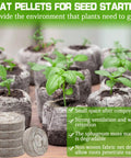 No Fuss 100 Pcs 30mm Peat Pellets Seed Starter Pods Plugs For Vegetables And Seedlings with young plants sprouting