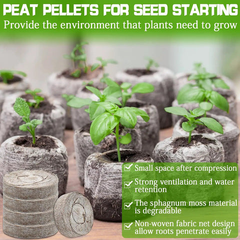 No Fuss 100 Pcs 30mm Peat Pellets Seed Starter Pods Plugs For Vegetables And Seedlings with young plants sprouting